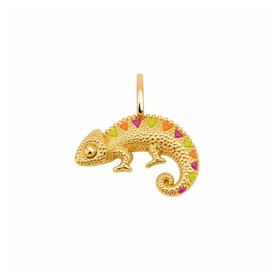 Chameleon Charm