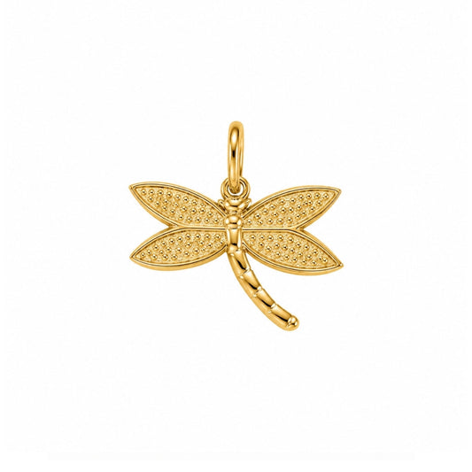 Dragonfly Charm