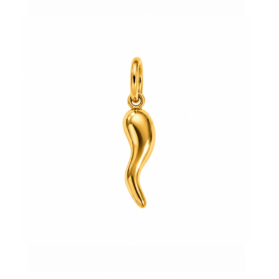 Chili Pepper Charm