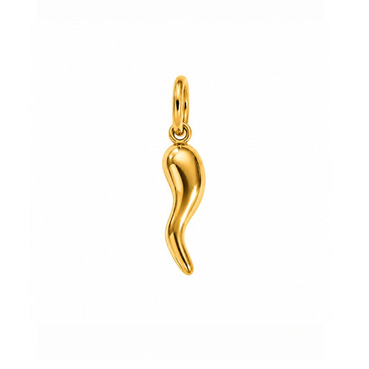 Chili Pepper Charm