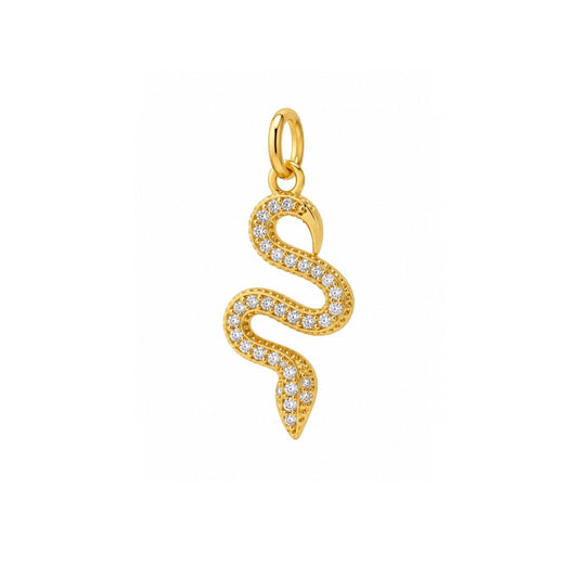 Shiny Snake Charm